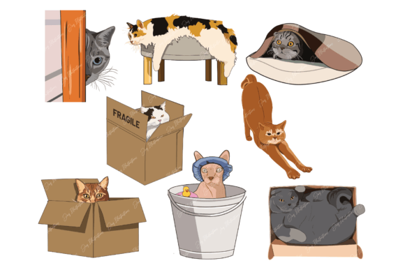 Cute and Funny Cats Clipart Bundle: Unleashing Creative Charm