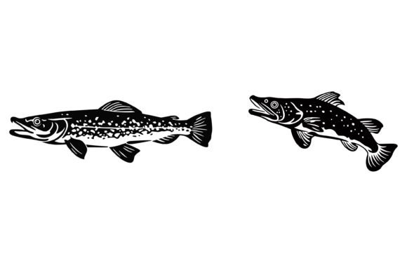 River Pike Fish Illustration: Dynamic Branding Assets