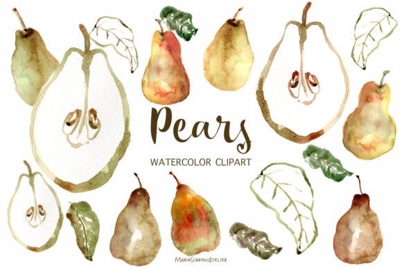 Watercolor Clipart Pears: A Fresh Take on Organic Design Assets